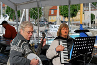 havefest baggrundsmusik viser underholdning harmonika banjo sømandsmusik viser pop folkemusik